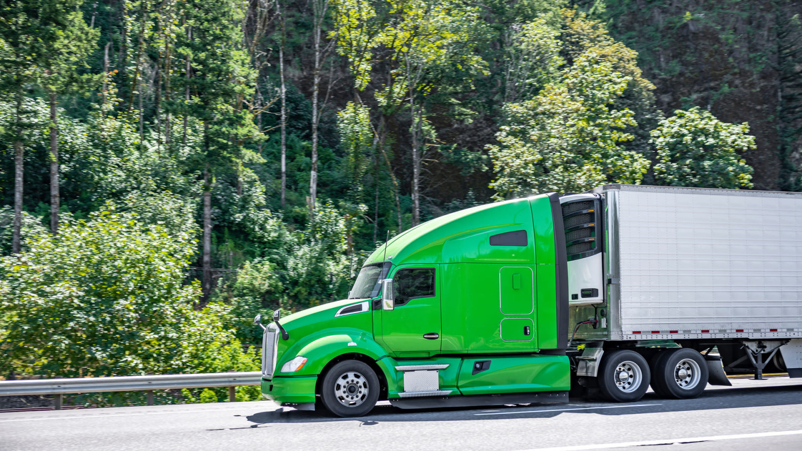 Green Logistics: Sustainable Practices for an Eco-Friendly Supply Chain