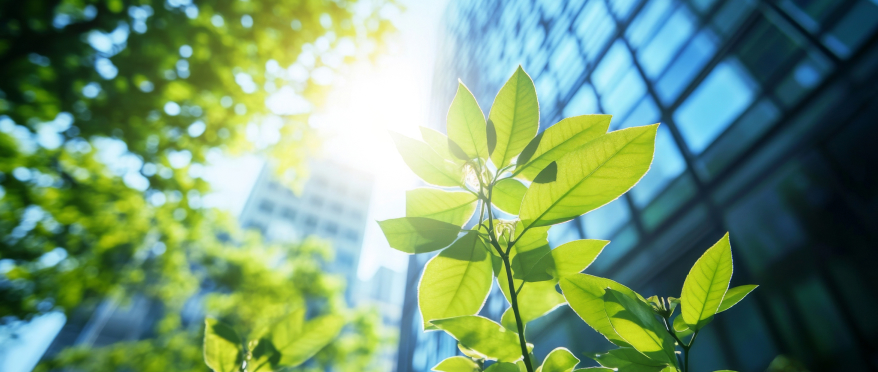 AsstrA Publishes 2024 ESG Report: Tangible Progress Toward Sustainable Logistics